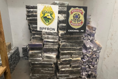 BPFRON e PF apreendem carreta carregada com 2,5 toneladas de substância análoga a maconha