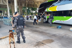 PMPR apreende 19 quilos de maconha na rodoviária de Curitiba
