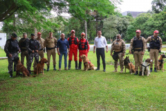 Governo do Paraná vai comprar 93 cães para reforçar atividades policiais e de salvamento