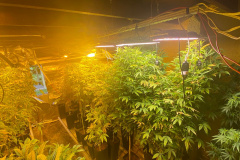 Polícia Militar desmantela laboratório de drogas em Balsa Nova