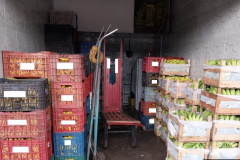 PCPR prende dois homens por furto e receptação de carga de banana do Ceasa em Curitiba