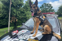 PCPR e PMPR prendem casal em flagrante por tráfico e associação para o tráfico em Saudade do Iguaçu 