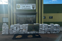 PMPR apreende mais de 2 toneladas de drogas e armamentos em Assis Chateaubriand