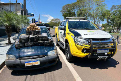 Batalhão da PM apreende 109 quilos de maconha em rodovia de Realeza