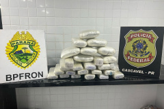 PMPR apreende quase 20 kg da maconha em ônibus na cidade de Céu Azul