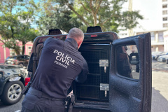 PCPR e Vigilância Sanitária resgatam cinco mulheres em situação de cárcere privado em Antonina