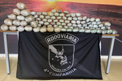 PMPR apreende 84 kg de haxixe na região noroeste do estado 