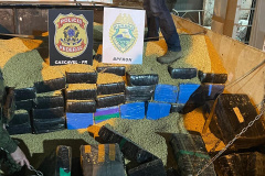 BPFRON e Polícia Federal apreendem 2,3 toneladas de maconha em Cascavel