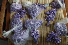 Forças do Estado apreendem 1,1 mil porções de cocaína e desarticulam delivery de drogas 