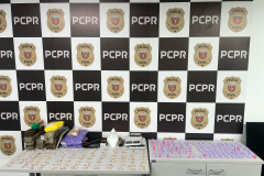 PCPR localiza depósito e apreende entorpecentes em Almirante Tamandaré