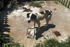 Abril Laranja: maus tratos não se limitam à agressão física, denuncie!