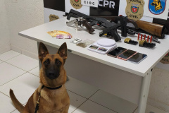 PCPR e PMPR prendem duas pessoas por porte ilegal de armas e gravação não autorizada de intimidade sexual 