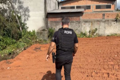 PCPR prende homem por desmatar área de proteção ambiental em Curitiba 