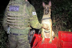 PMPR apreende quase duas toneladas de maconha em Marechal Cândido Rondon