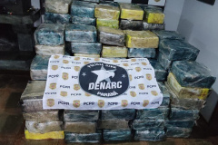 PCPR apreende mais de 2,2 toneladas de maconha em Lindoeste