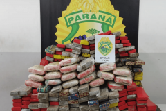 BPTran apreende 279 kg de maconha após veículo capotar na região sul de Curitiba