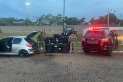 BPFron e NEPOM/PF apreendem três armas de fogo em Francisco Alves