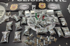 PCPR prende investigados por integrar organização criminosa com atuação no Paraná 