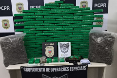 PCPR e GM prendem homem em flagrante com quase 100 quilos de drogas em Ponta Grossa