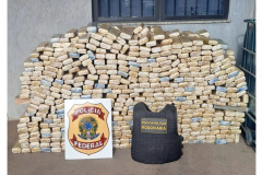 PMPR e PF apreendem mais de 700 quilos de maconha em Presidente Castelo Branco