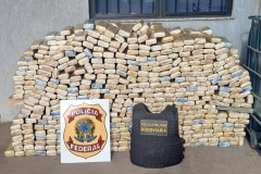  PMPR apreende mais de 700 kg de maconha em Presidente Castelo Branco 