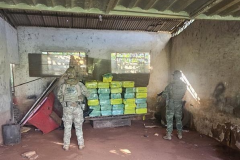 PMPR e PCPR apreendem quase uma tonelada de maconha em ação integrada com a PF