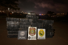 Ação entre PMPR, PCPR e PF apreende meia tonelada de maconha em Foz do Iguaçu