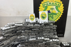 Em 3 dias, policiais do Paraná interceptam 3,5 toneladas de drogas e tiram R$ 65 milhões do tráfico