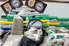 PCPR apreende 327 quilos de maconha gourmet e prende três pessoas por tráfico