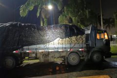 PMPR aplica multa de R$ 1,7 milhão por transporte ilegal de palmito juçara em Morretes