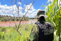 Polícia Militar do Paraná resgata 216 animais e coíbe desmatamento em área de 159 hectares durante Mês do Meio Ambiente