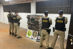 PMPR apreendem mais de uma tonelada de maconha em Santa Helena