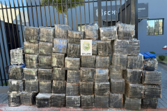 PMPR apreende mais de 1,3 tonelada de maconha em Cambé