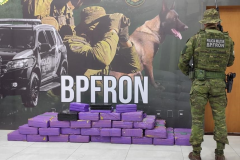 Durante a vistoria foi localizado uma grande quantidade de maconha escondida no interior e no porta-malas do carro. A droga, após pesagem, totalizou 395,4 quilos. Questionada, a mulher informou que havia carregado a droga em Guaíra e que faria a entrega em Umuarama, onde receberia R$ 2 mil pelo transporte. 