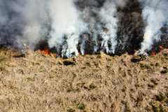 Atear fogo em lixo em terrenos baldios responde por mais de 30% dos incêndios no Paraná