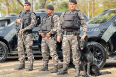 1ª Cãocorrida da CIOC celebra sucesso de cães da PM no combate ao crime