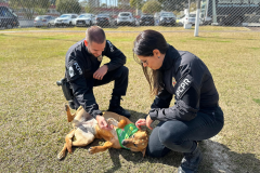 Contagem regressiva: inscrições estão abertas para o último lote da XVIII Corrida da PCPR