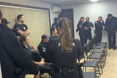 Missão Paraná II: PCPR mira grupo que usava cartões clonados para comprar carros