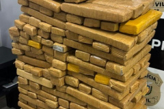 PMPR apreende mais de 220 kg de maconha em Foz do Jordão