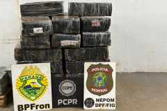 Polícias apreendem mais de 1,3 tonelada de maconha em Santa Helena em dois dias