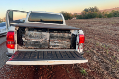 PMPR e PF apreendem mais de 1,6 tonelada de maconha em chácara em Nova Santa Rosa