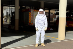 Com a primavera, Bombeiros alertam sobre cuidados para evitar ataques de abelhas