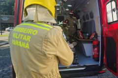 Corpo de Bombeiros do Paraná registra 300 ataques de cachorros desde o início do ano