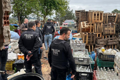 PCPR destrói 300 mil garrafas em operação contra bebidas irregulares em Curitiba e RMC