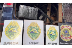 PMPR apreende mais de uma tonelada de maconha e fuzil em Santa Tereza do Oeste