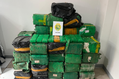 A ação foi realizada com base em informações de inteligência que apontavam a ligação da propriedade rural com uma organização criminosa, após o membro já ter sido preso por tráfico em Minas Gerais.