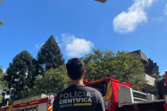 Da identificação de vítimas às causas: como atua a Polícia Científica em grandes acidentes