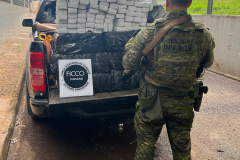 PMPR apreende mais de 300 quilos de maconha em Foz do Iguaçu