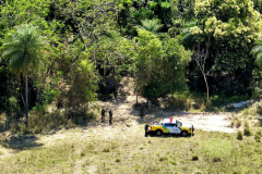 Operação Mata Atlântica em Pé: PMPR aplica mais de R$ 19 milhões em multas