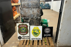 PMPR apreende mais de 1,1 tonelada de drogas durante Operação Diakopí IV